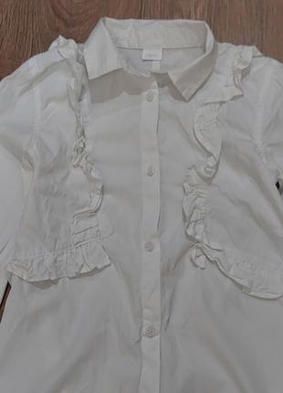 Блуза туника (101))3 фото