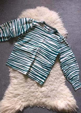 Свитшот джемпер свитер зебра анималистический принт широкий пышный рукав