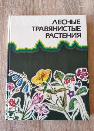 Лесные травянистые растения