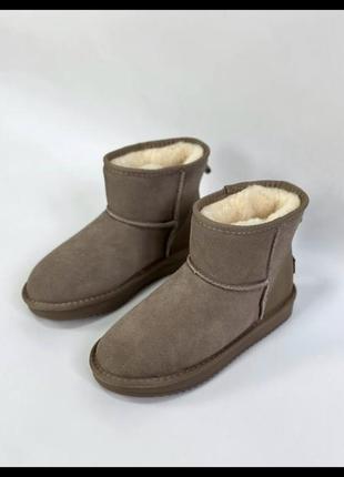 Ugg khaki