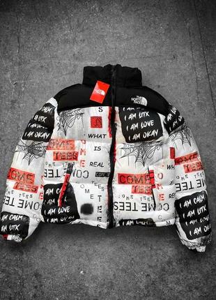 Чоловічий зимовий пуховик The north face aconcagua 3