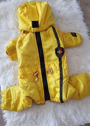 Комбінезон (зима) yellow (хлопчик), одяг для собак, жовтий зимовий костюм xs3 фото