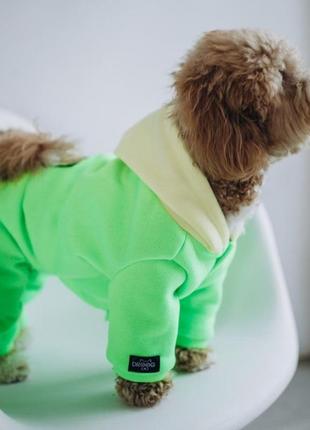 Комбінезон "neon pop", одяг для собак, яскравий салатовий костюм xs