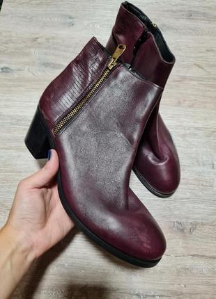 Стильные бордовые ботинки полусапоги minelli кожаные1 фото