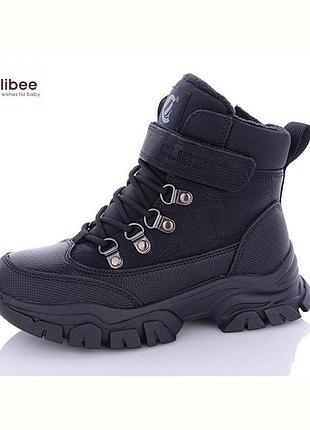 Термо clibee