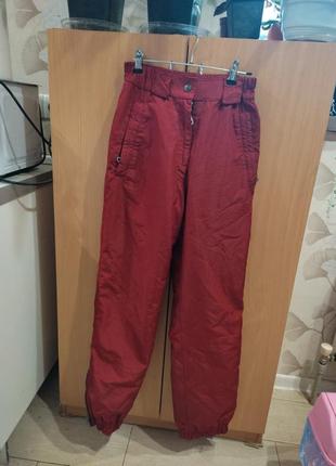 Штани лижні 38