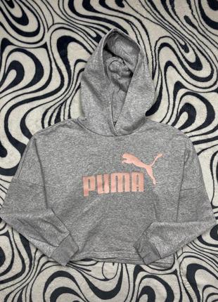 Худи puma