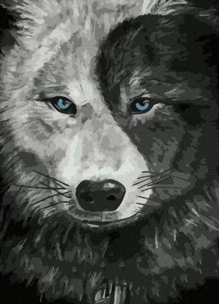 Картина по номерам "волк инь-янь" 40х50 см1 фото