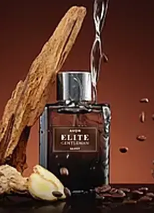 Чоловіча туалетна вода avon elite gentleman quest, 75 мл ( ейвон еліт джительмен квест)