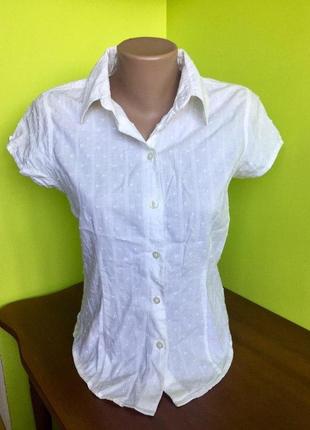 Блуза белая летняя на пуговицах с воротником от cherokee из хлопка3 фото