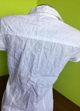 Блуза белая летняя на пуговицах с воротником от cherokee из хлопка7 фото