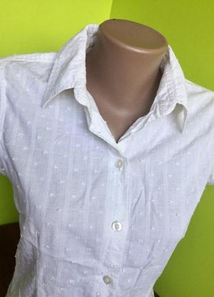 Блуза белая летняя на пуговицах с воротником от cherokee из хлопка4 фото