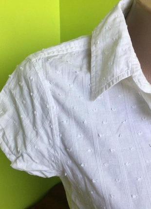Блуза белая летняя на пуговицах с воротником от cherokee из хлопка5 фото