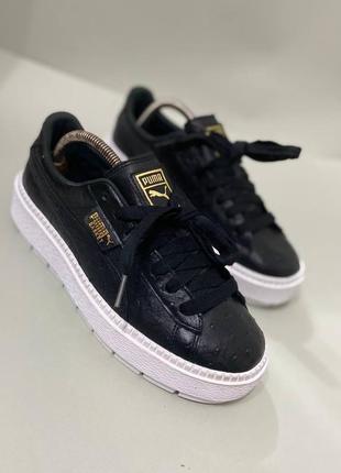 Кроссовки puma1 фото