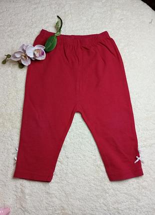 Штани лосіни