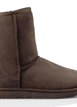 Оригинальные ugg classic australia, 22 см стелька