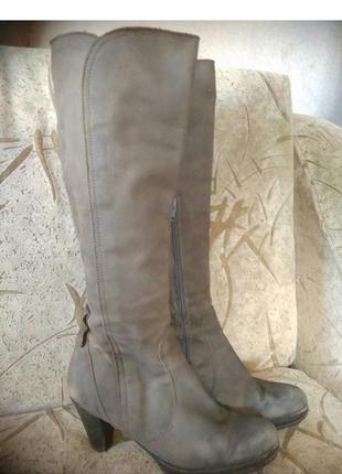 Чоботи нубук