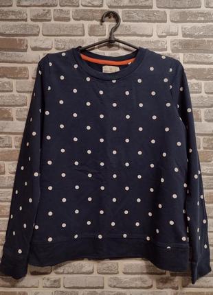 32/джемпер081123//holly&whyte-by-lindex-швеція світшот кофта толстовка у горох