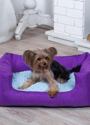 Лежанка для кота и собаки комфорт (размер 60*45) цвет фиолетовый / голубой