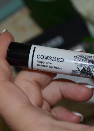 Косметичний набір засобів мініатюр organic cowshed бальзам для губ крем для рук англія6 фото