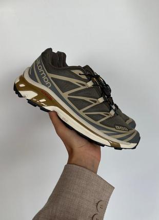 Кроссовки salomon s/lab xt-6 beluga dull gold4 фото