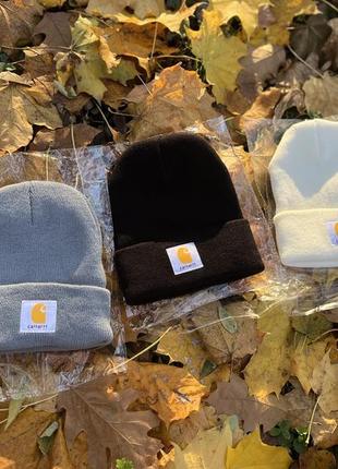 Шапки carhartt