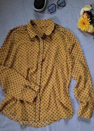 Блуза сорочка нова бавовна модал1 фото