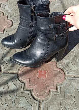 Ботинки, сапоги черные ботинки с пряжкой. очень красиво смотрятся на ноге, стелька 25.5 см1 фото