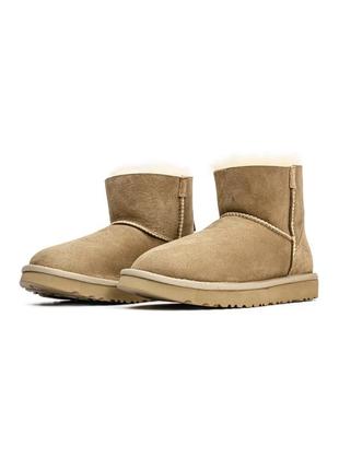 Сапоги теплые ugg bailey zip beige (мех)