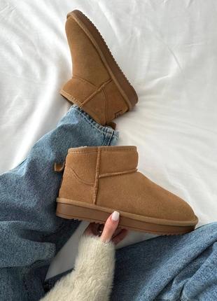 Сапоги теплые ugg ultra mini ginger suede (мех)5 фото