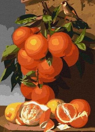 Картина по номерам "апельсины и лимоны" ★★★
