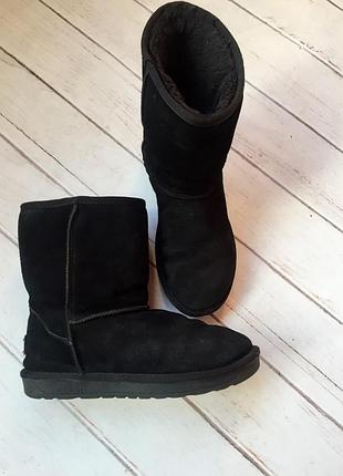 Ugg 38 размер