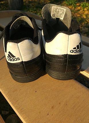 Кросівки adidas2 фото