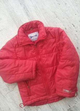 Куртка на синтепоні холодна осінь