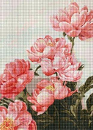 Алмазна мозаїка "букет рожевих півоній" 40х50см1 фото