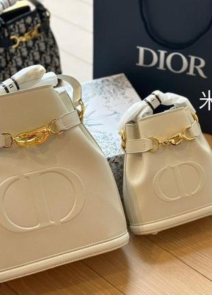 Сумка в стилі dior