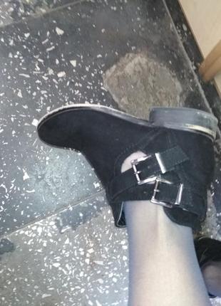 Туфлі черевики