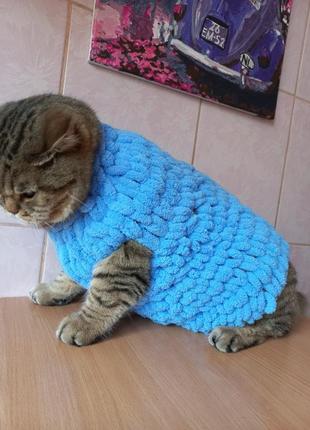 Доставка бесплатно! стильный теплый свитер для кота или собаки2 фото
