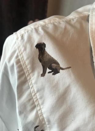 Wistow оригинальная женская рубашка в принт собачки wistow3 фото