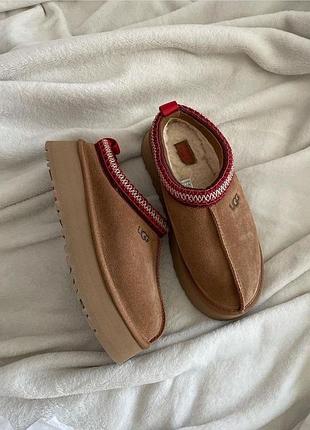 Тапки ugg tazz slippers