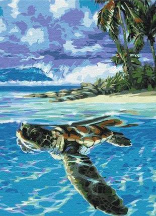 Картина по номерам "тропическая черепаха" ★★