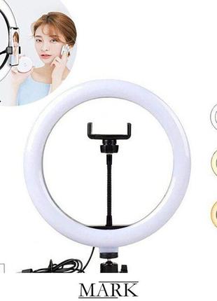 Лампа кольцевая 26 см + штатив.