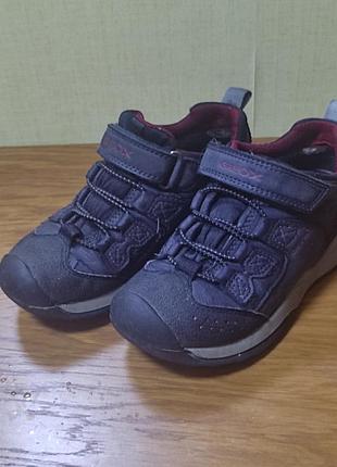Продам кроссовки geox 30 р