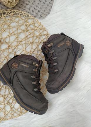 Кожаные коричневые ботинки на мальчика firetrap1 фото