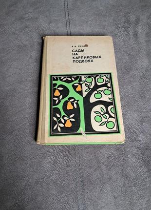 В.и. сенин сады на карликовых подщепах: научитесь выращивать груши легко и просто!