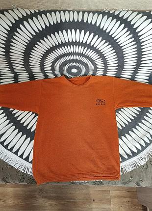 Кофта (пайта)бодибилдерская big sam