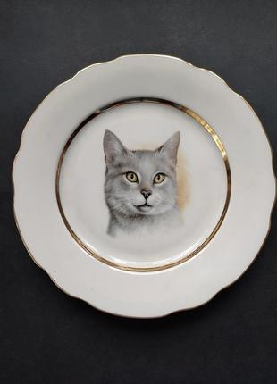Фарфоровая тарелка a.g.l.gibtware lord nelson, серый кот, английская1 фото