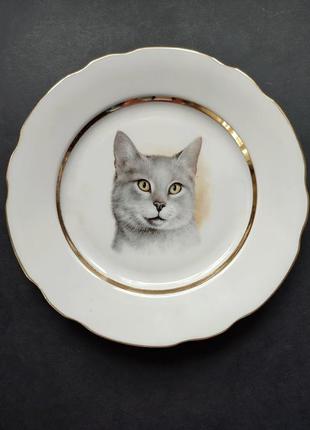 Фарфоровая тарелка a.g.l.gibtware lord nelson, серый кот, английская2 фото