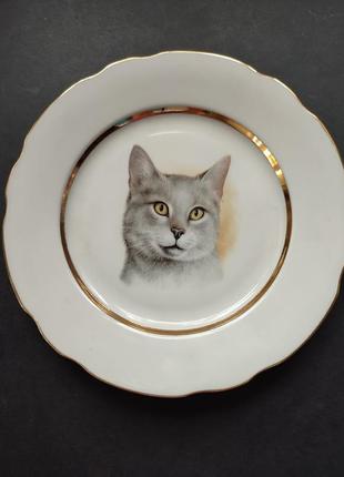Порцелянова тарілка a.g.l.gibtware  lord nelson, сірий кіт, англія4 фото
