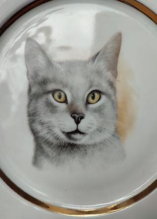 Фарфоровая тарелка a.g.l.gibtware lord nelson, серый кот, английская7 фото